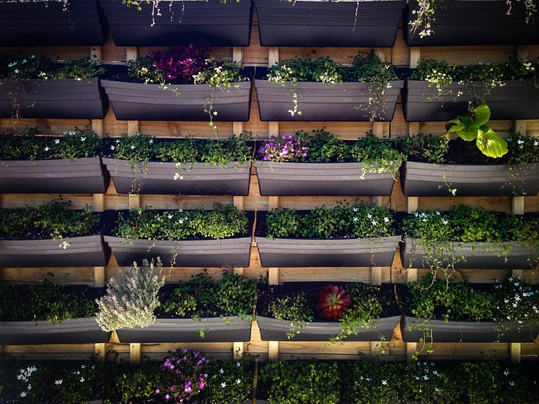 Green Wall