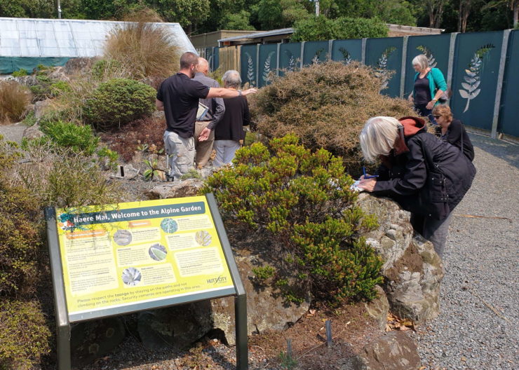 Raising awareness of our native plants at Percy Scenic Reserve