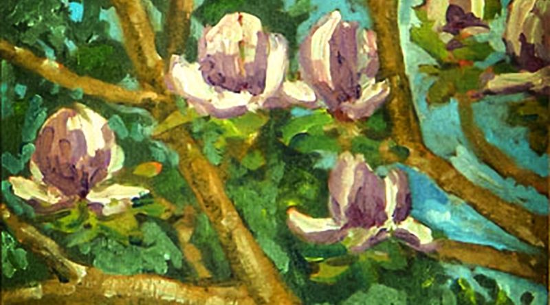 Magnolia